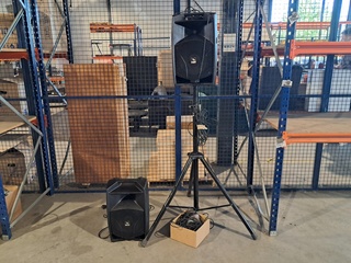 2x Speaker, Proel, V10A