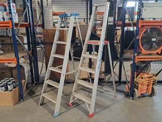 2x Ladder, O.a. Alltrex