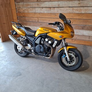 Motor, Yamaha, FZS600, 1998