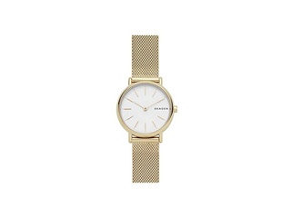 Skagen SKW2693 Horloge Goudkleurig