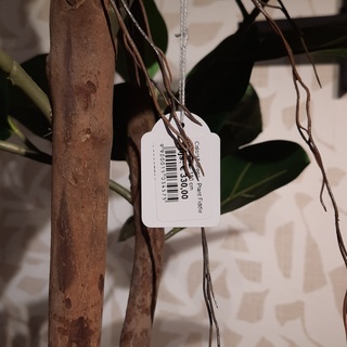 Kunstplant in pot Colours&Green, Fiddle Leaf Tree