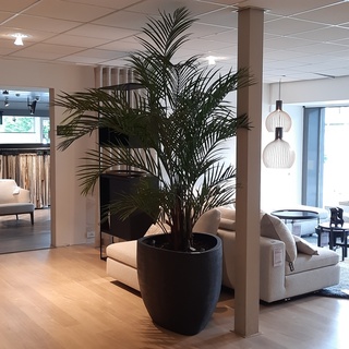 Kunstplant in pot Colours&Green, Areca Palm