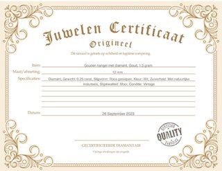 Gouden hanger met diamant