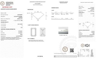 1 Diamant – 5.01 karaat diamant (gecertificeerd)