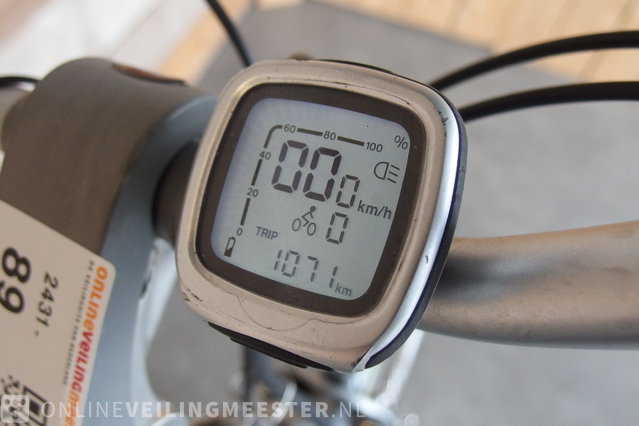 verstoring lokaal Impressionisme Electric ladies bike Sparta, Ion M-gear, Gray » Onlineauctionmaster.com