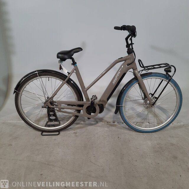 Electric lady bike shop online