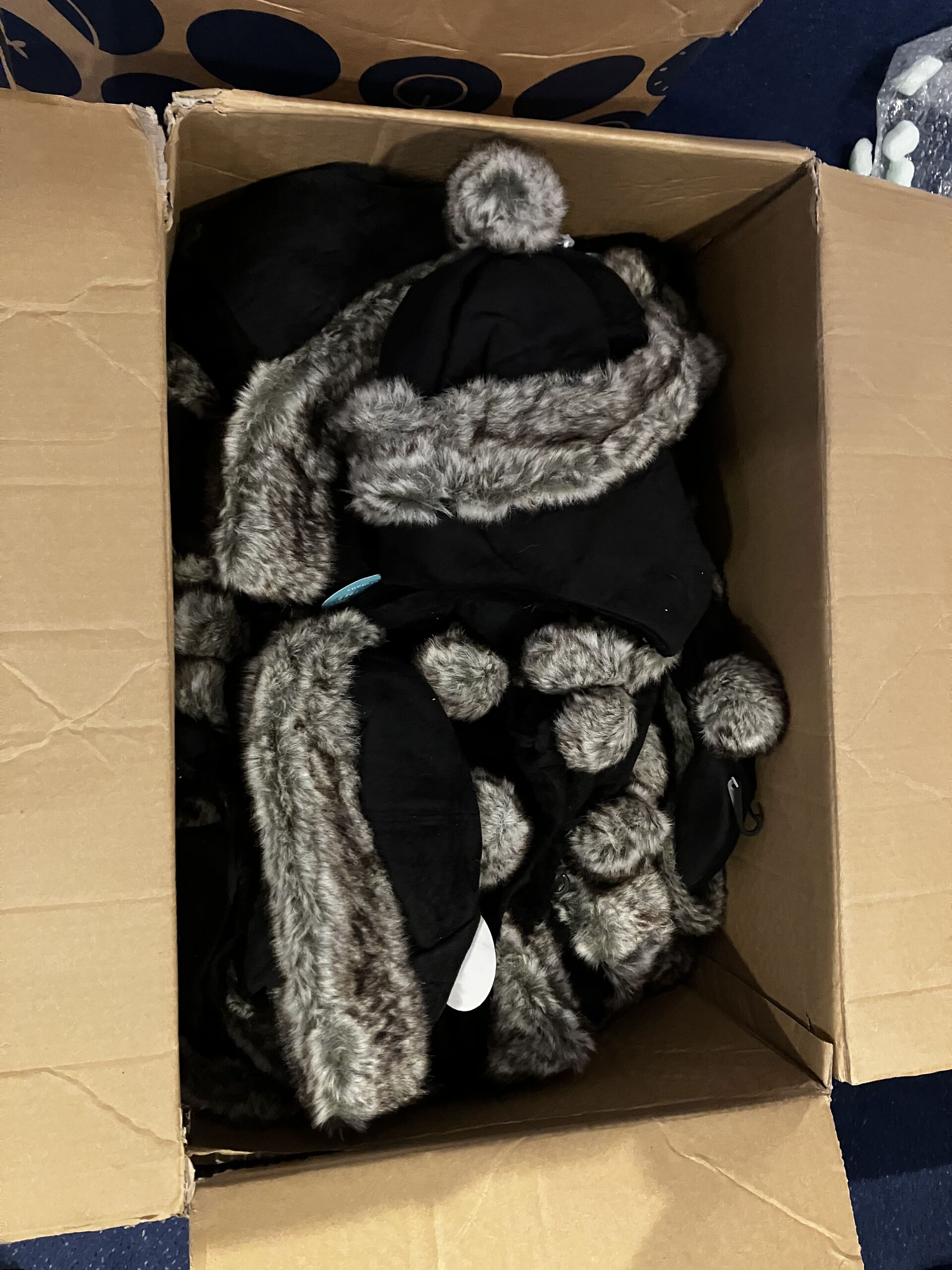 ca.190x Mutsen Dan Carol