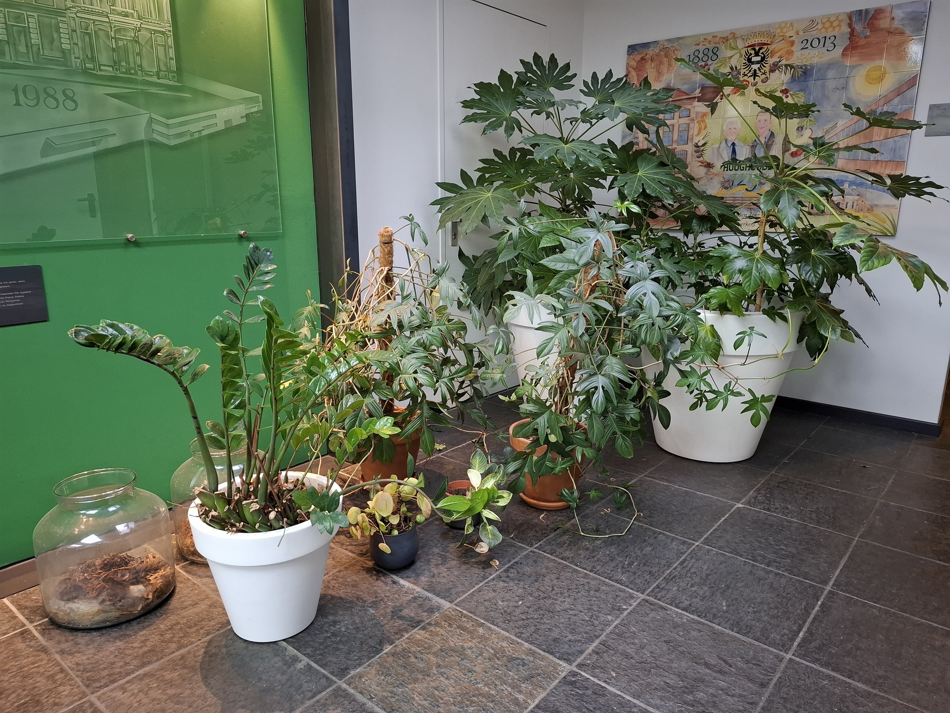 Diverse planten in pot