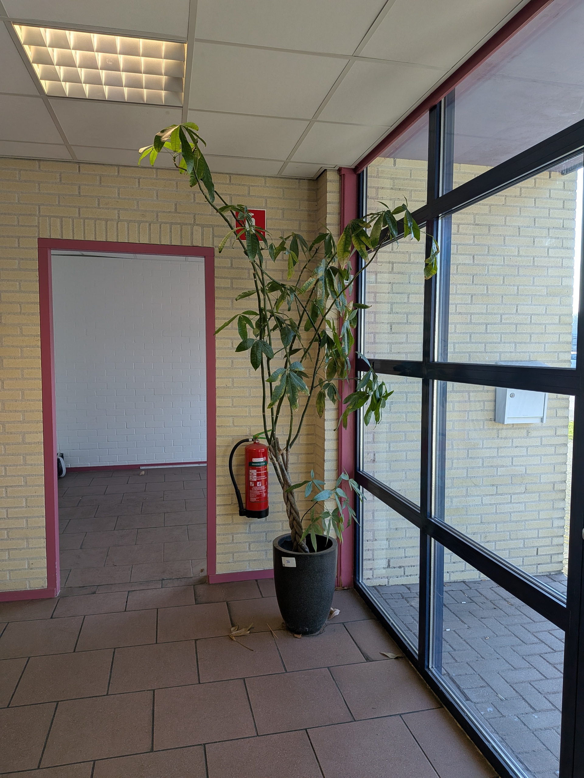 Divers kantoor decoratie