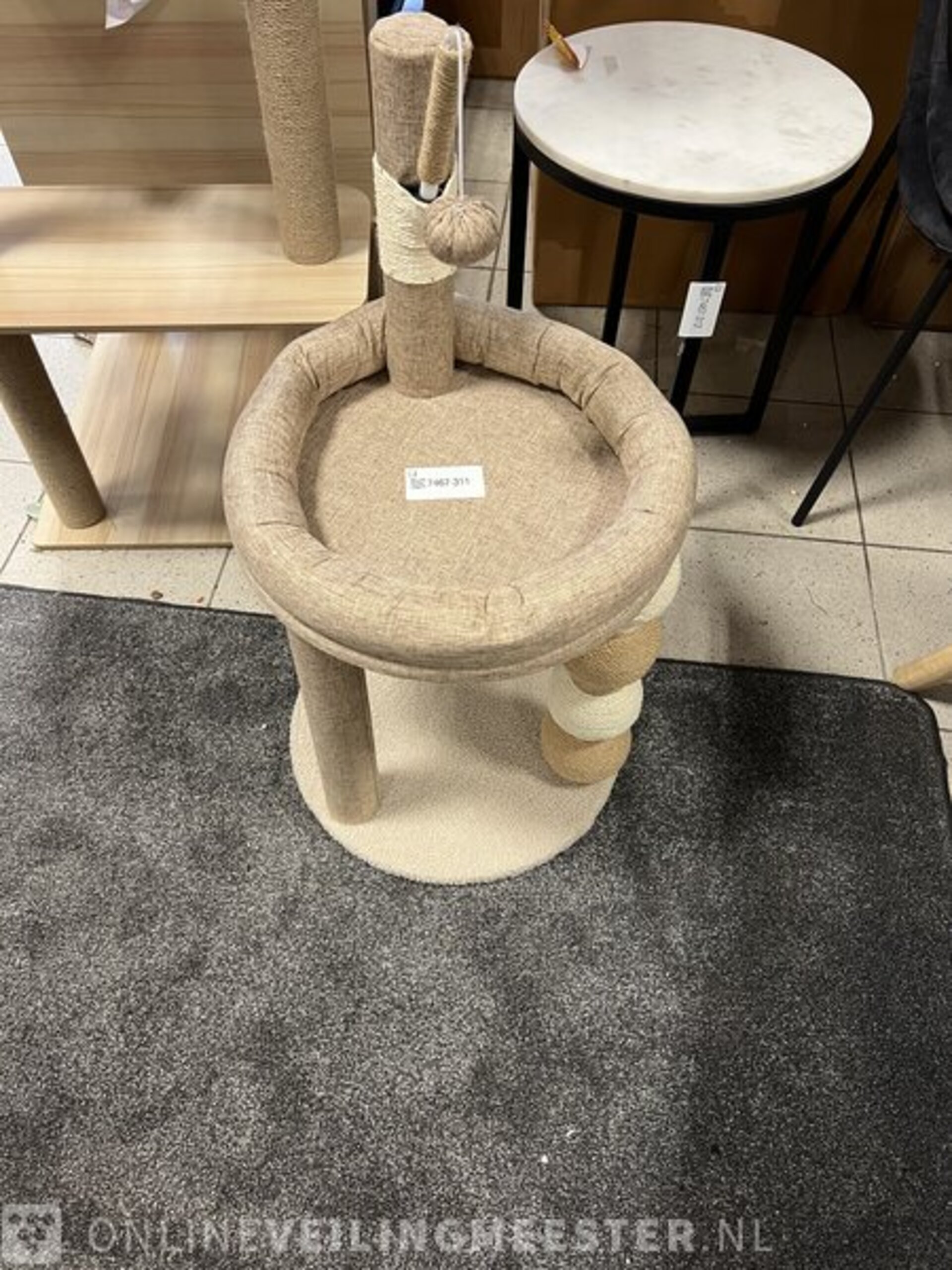 2x Krabpaal kitten / kat / poes, 2025