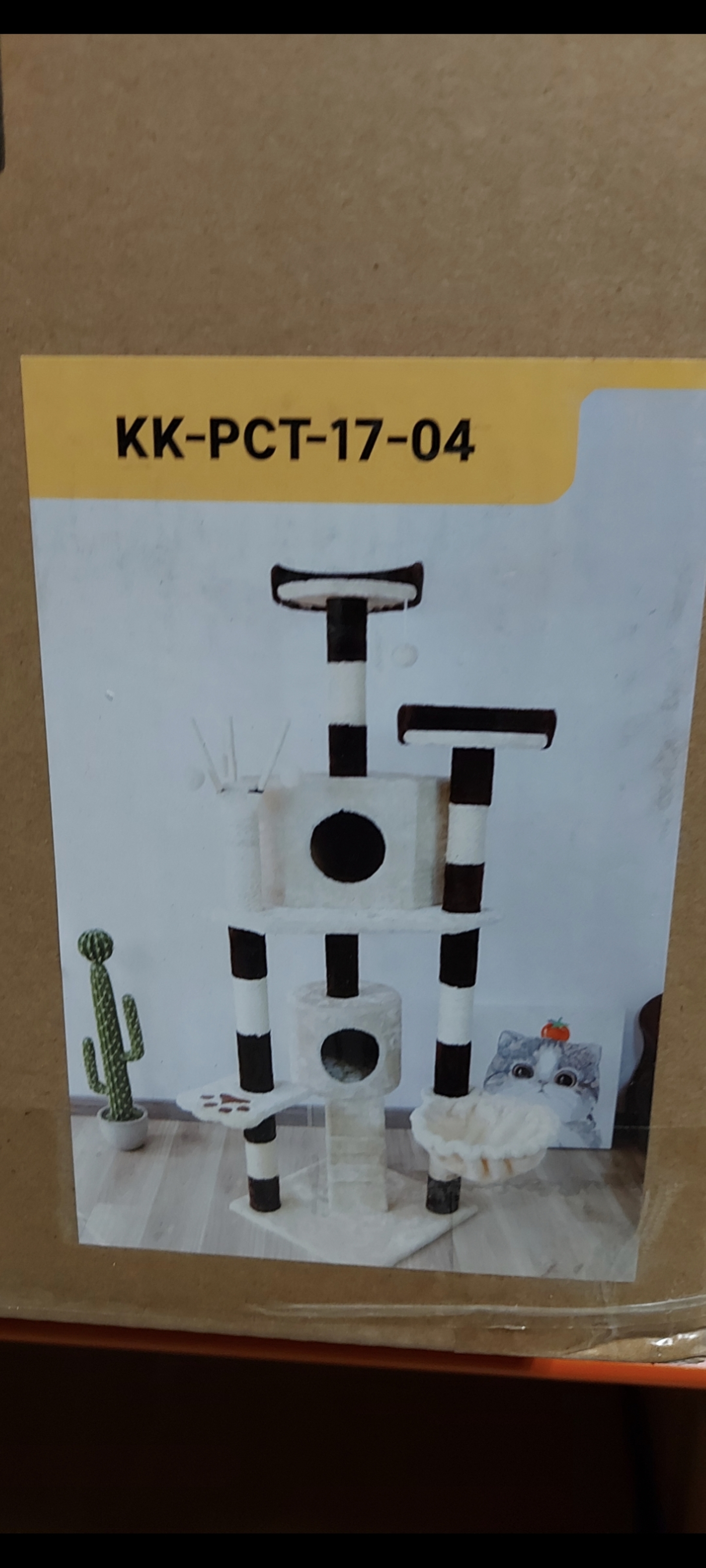 Krabpaal kitten / kat / poes, 2025