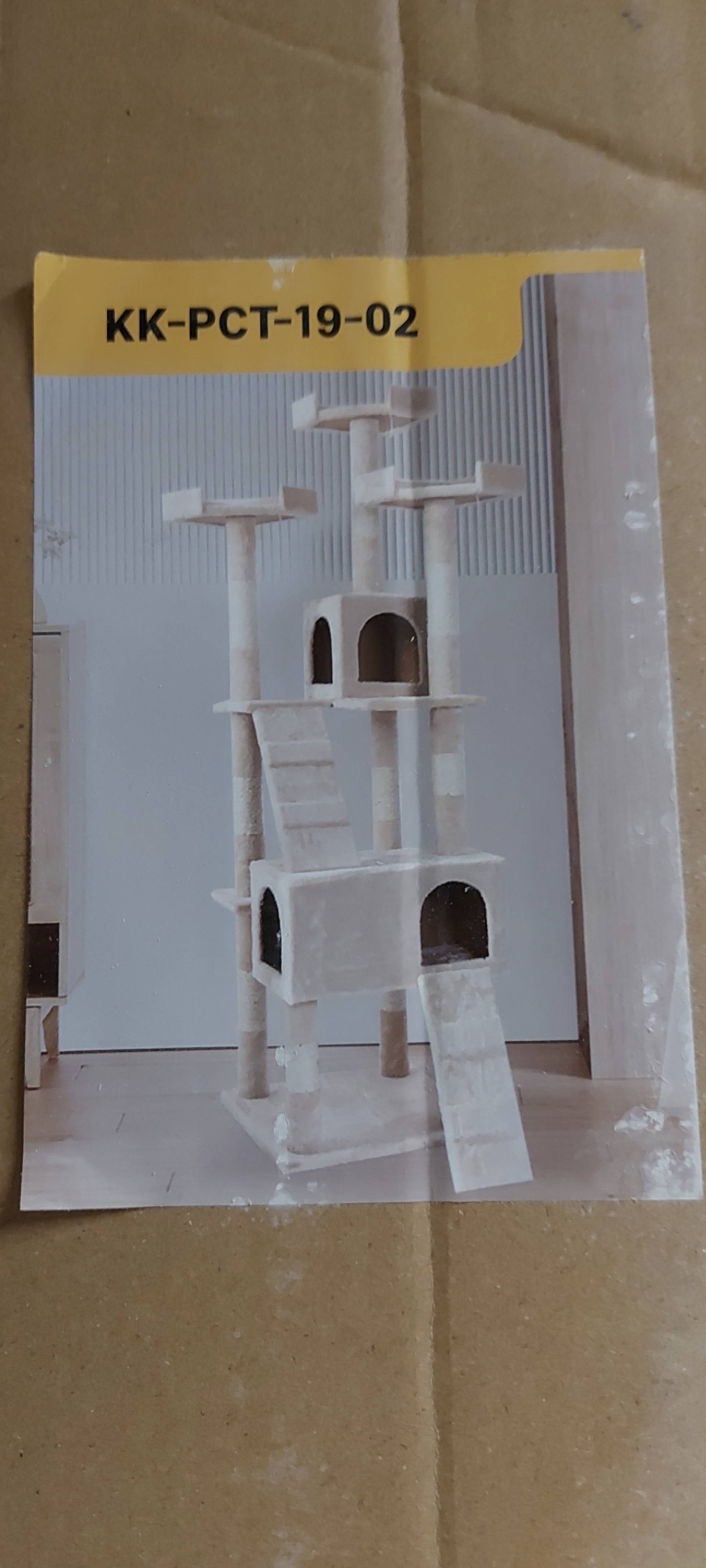 Krabpaal kitten / kat / poes, 2025