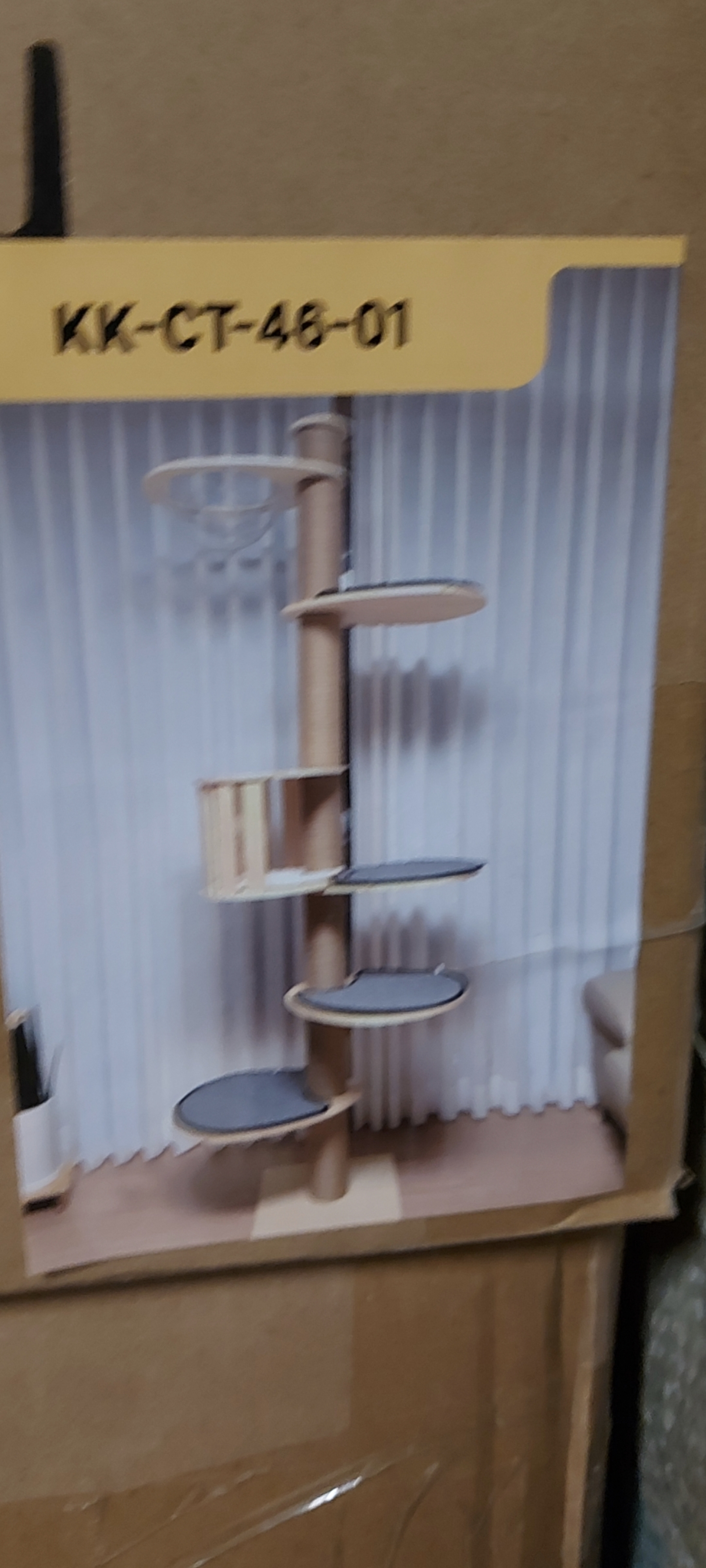 Krabpaal kitten / kat / poes, 2025