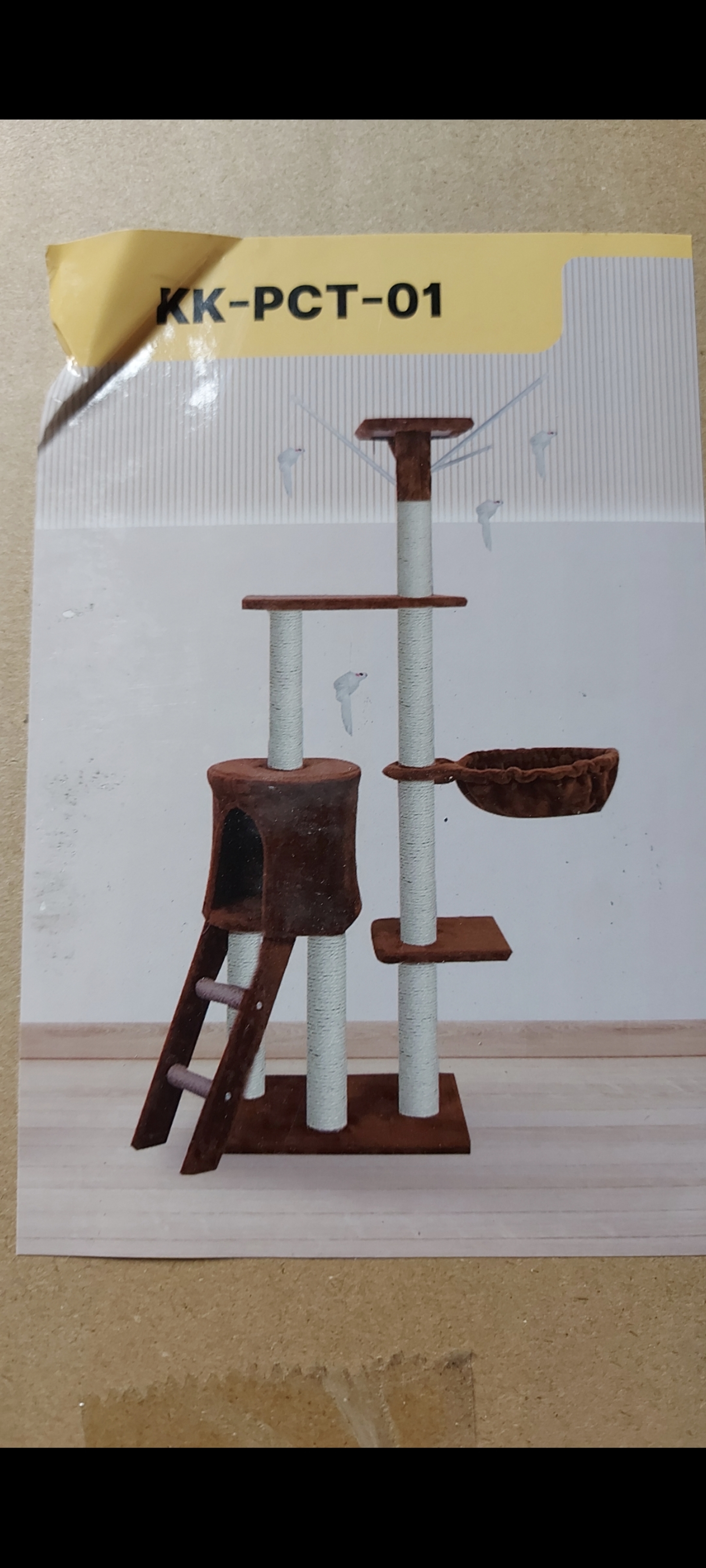 2x Krabpaal kitten / kat / poes, 2025