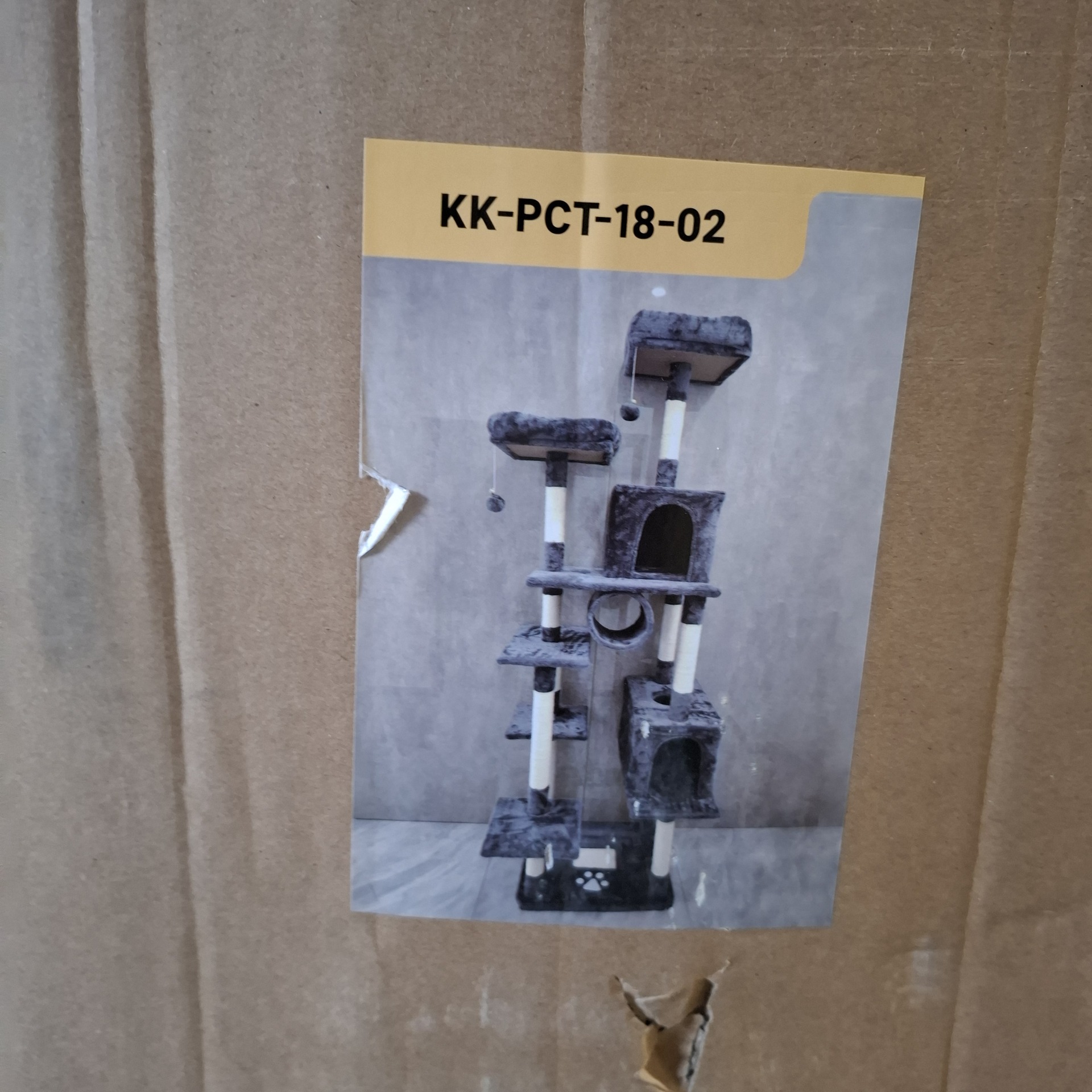 Krabpaal kitten / kat / poes, 2025